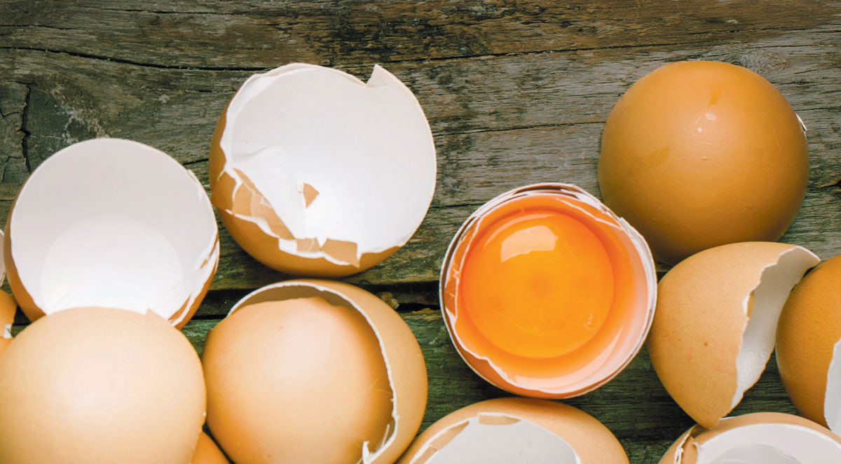 Куриные яйца польза и вред для организма. Сырое яйцо. Лечебные куриные яйца. Что полезного в яйцах куриных. Вредные яйца.