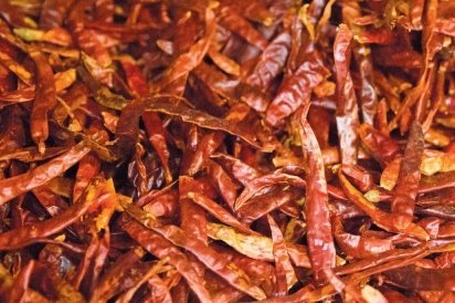 dried chilis
