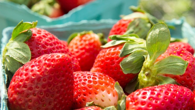 Strawberries at Boca Grande Farmers Market