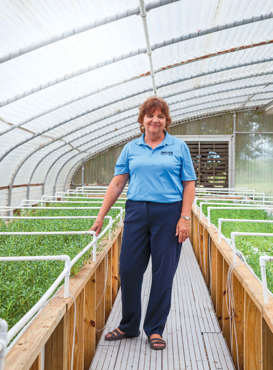 homegrown mote marine