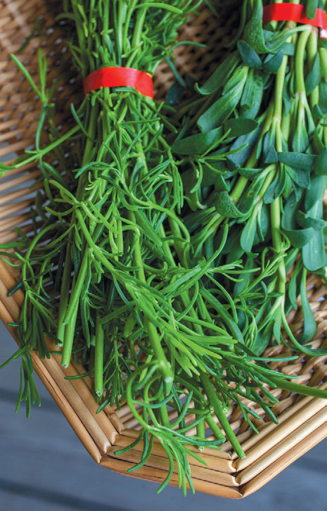 purslane and sea wort