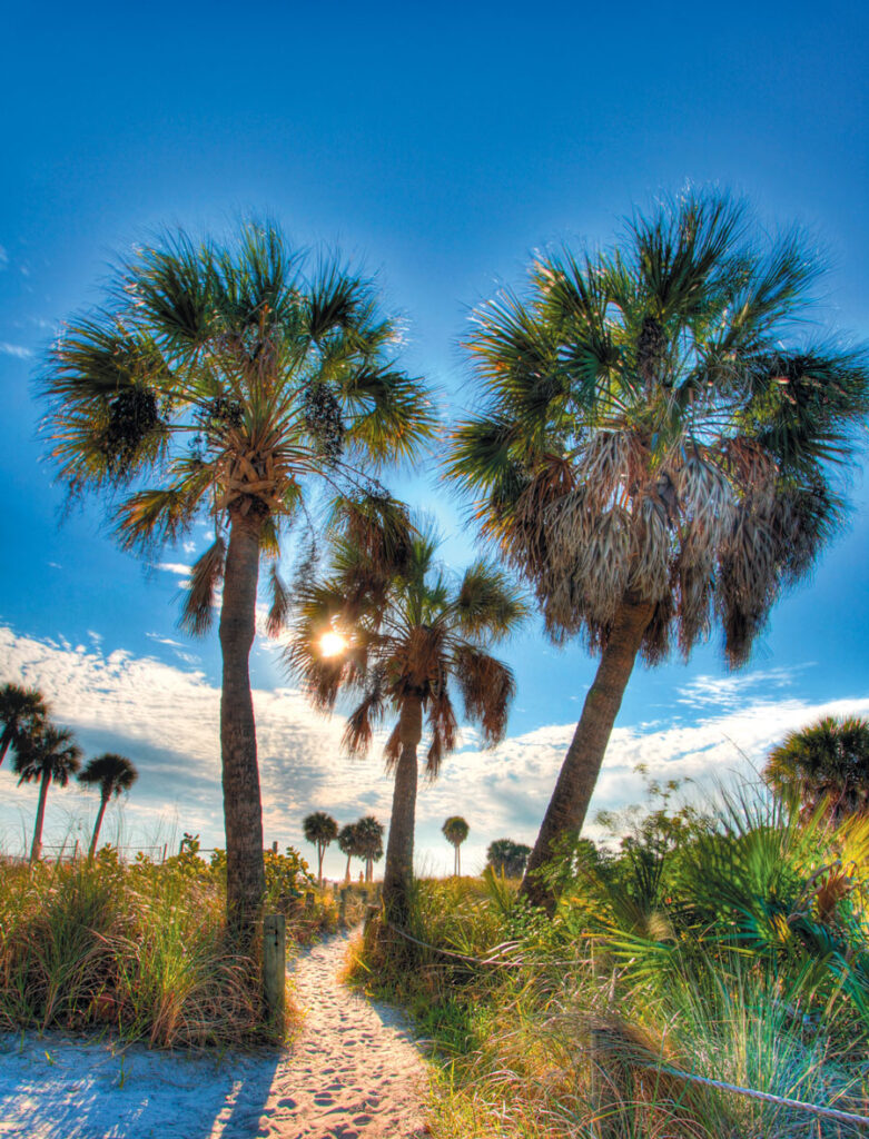 siesta key