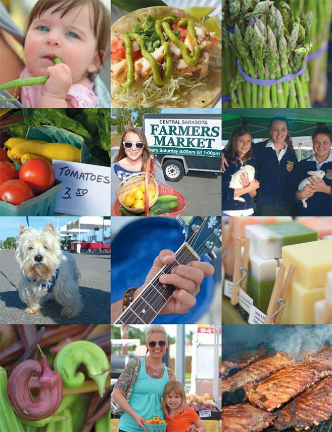 Central Sarasota Farmer's Market
