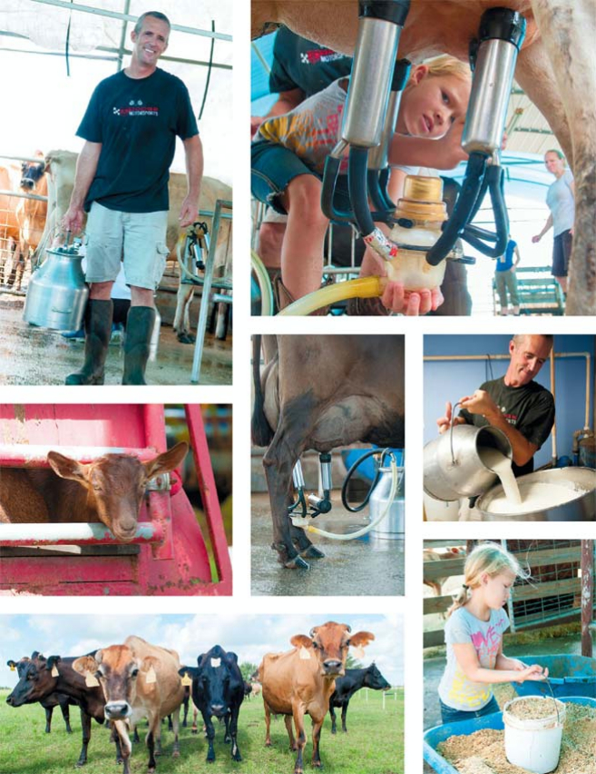 Jersey Acres Farm