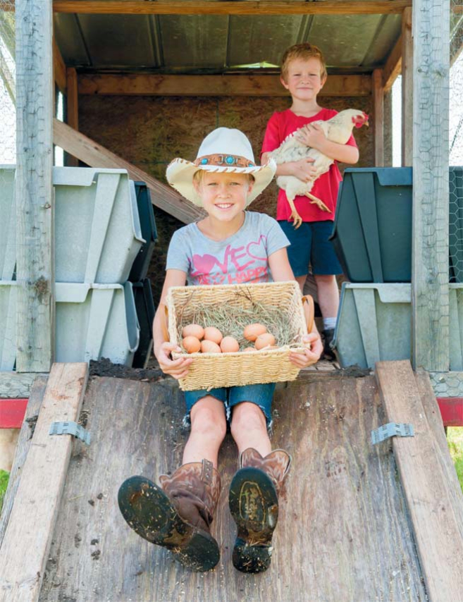 Jersey Acres Farm