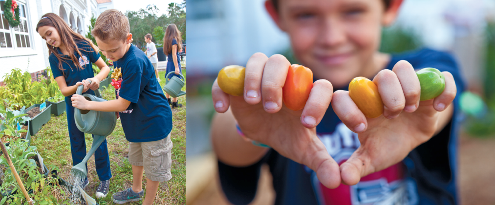School Supper: The Southside Elementary School Eco Garden
