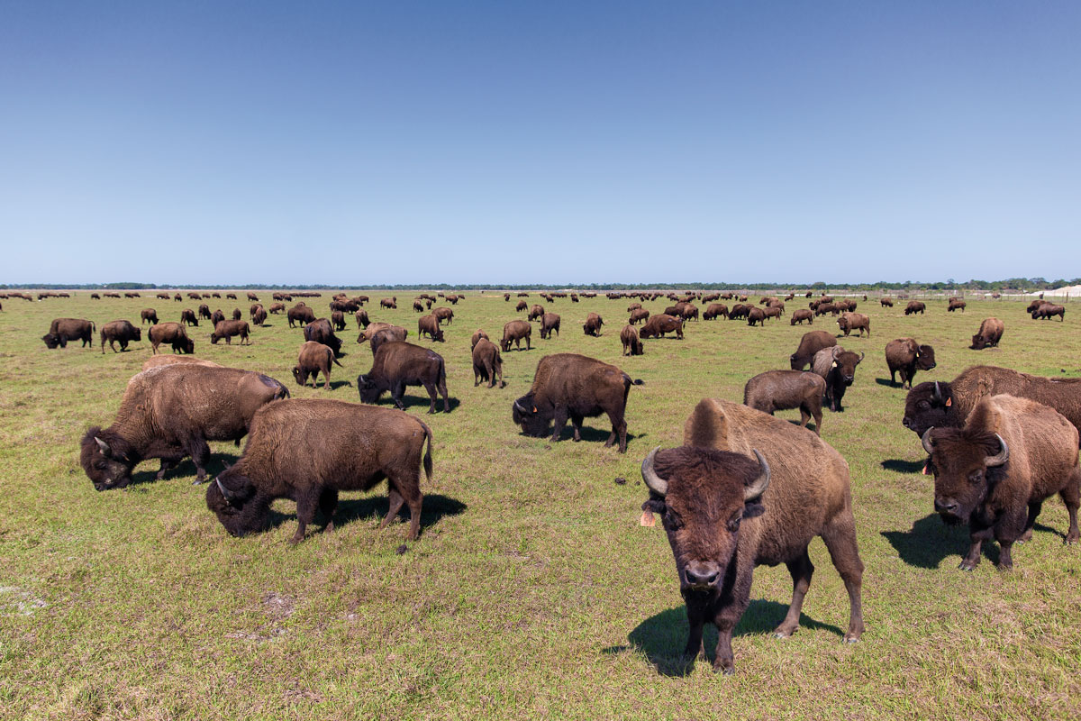 Contact Edible Sarasota