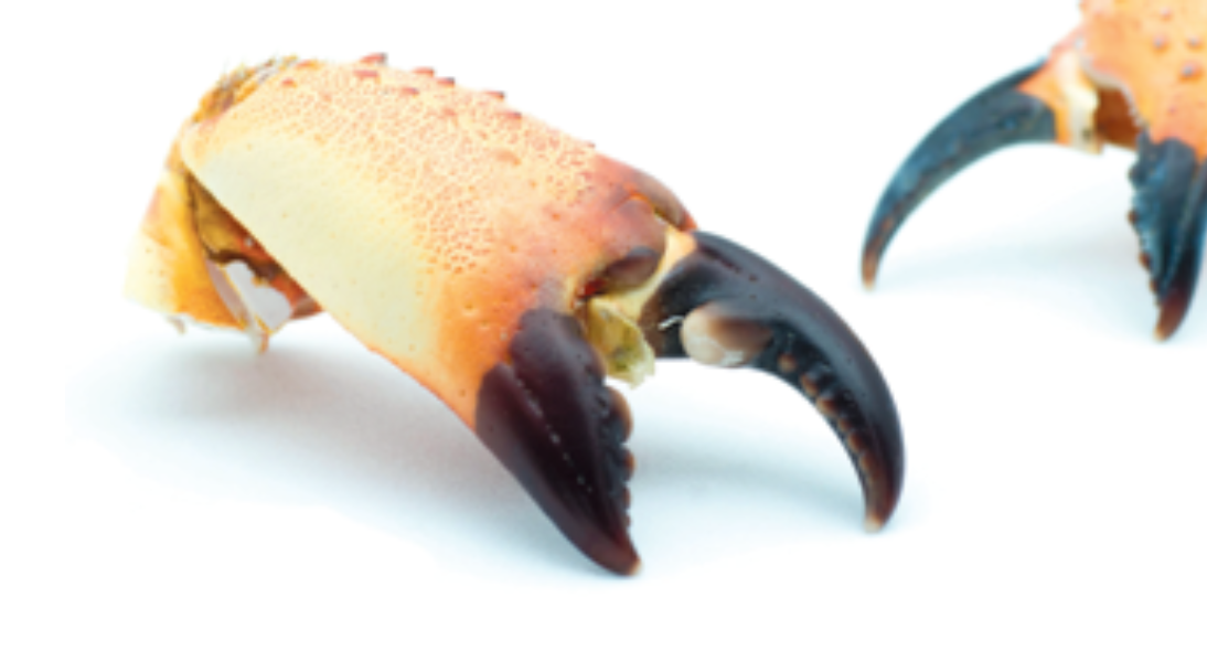 crab-claws.png