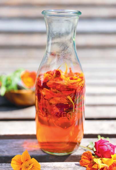 Peppery Nasturtium Vinegar