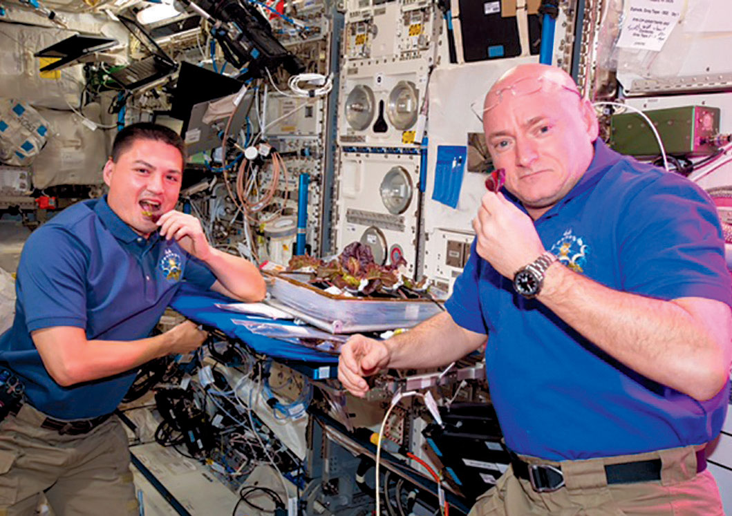 Photo courtesy of NASA, Astronauts Kjell Lindgren, Scott Kelly enjoy the first Red Romaine grown in space