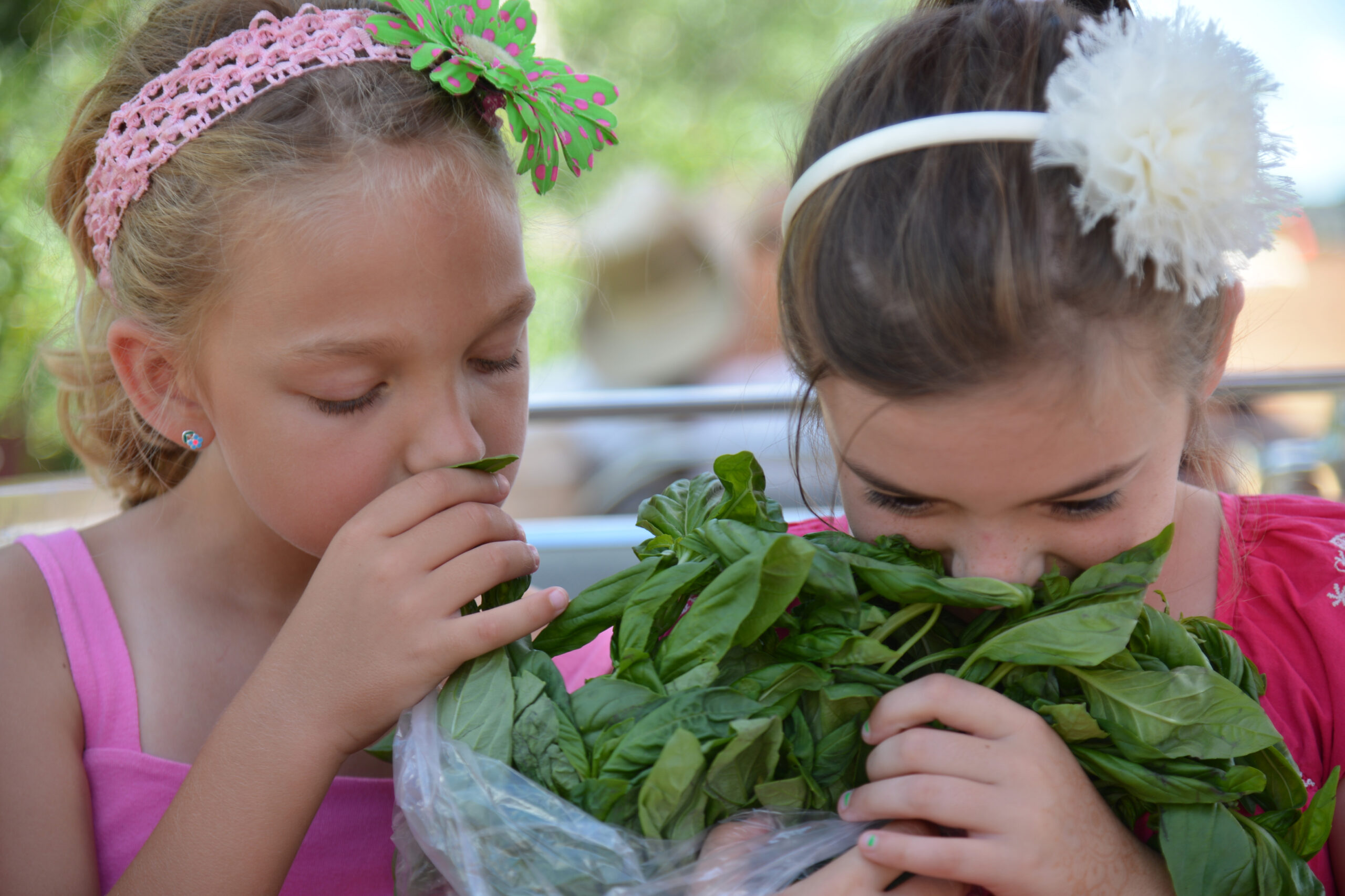 The Market at 5 points.jpg