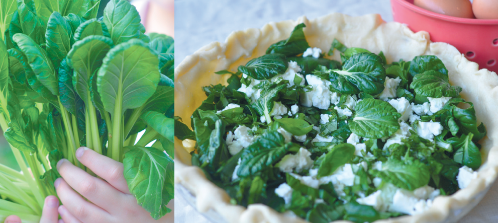 Cooking with Home Grown Greens