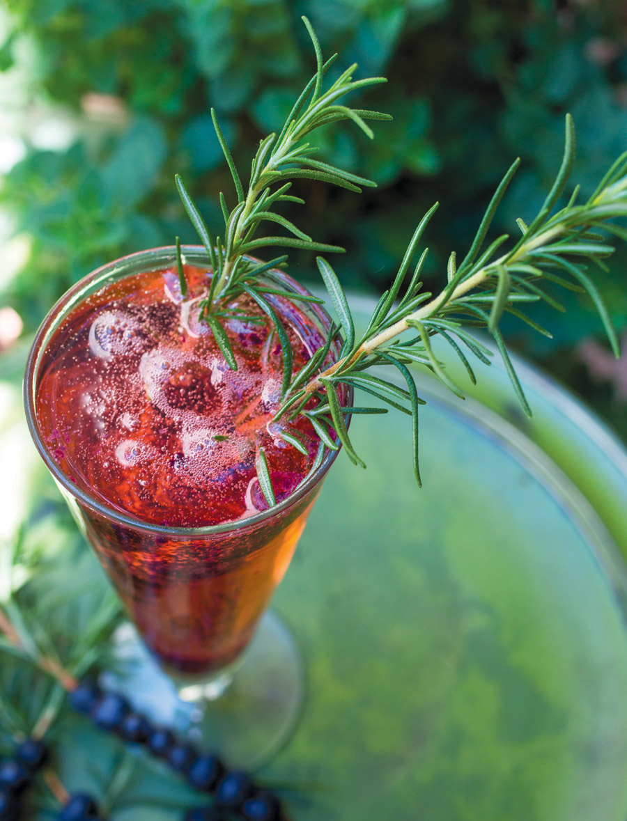blueberry-rosemary-cocktail-1.jpg