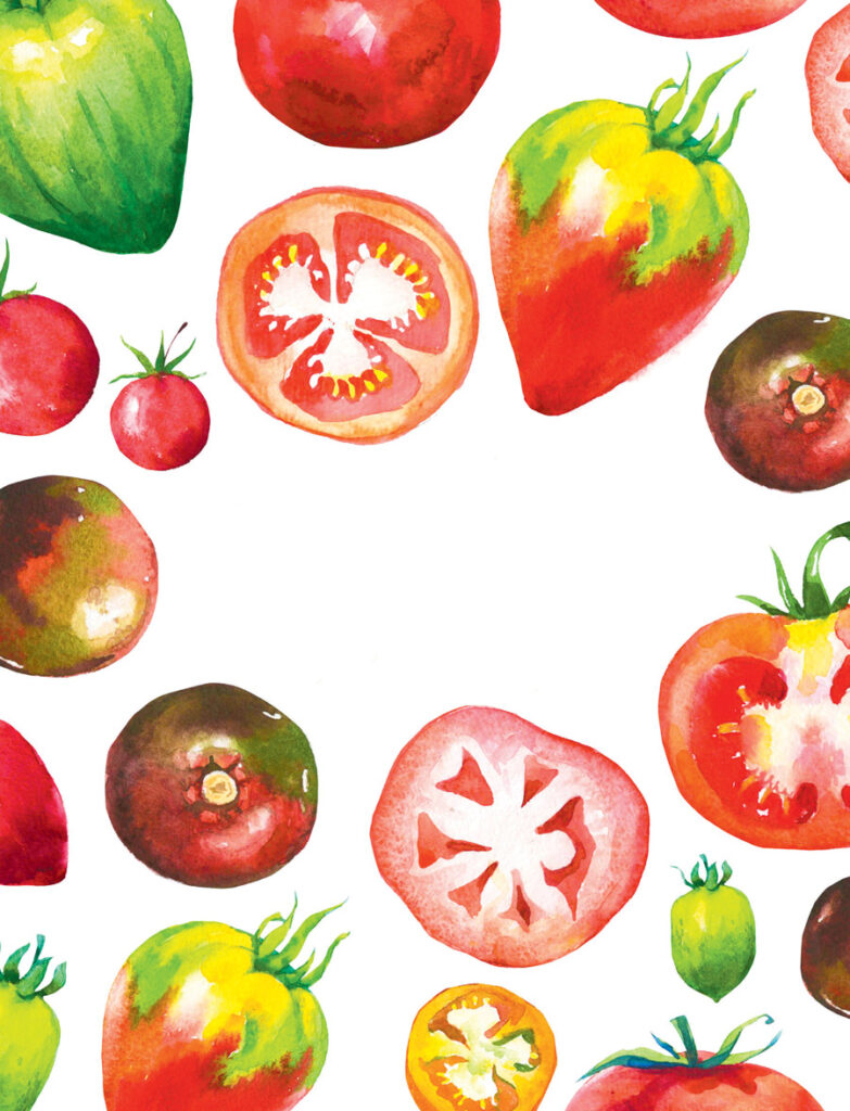 Tomatoes-1.jpg