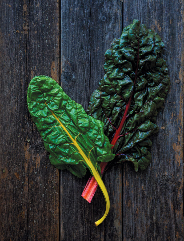 eat-your-greens-1.jpg
