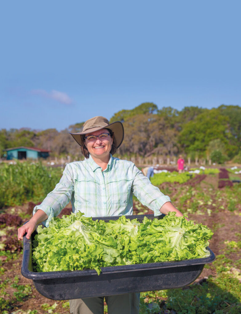harvest-for-the-1.jpg