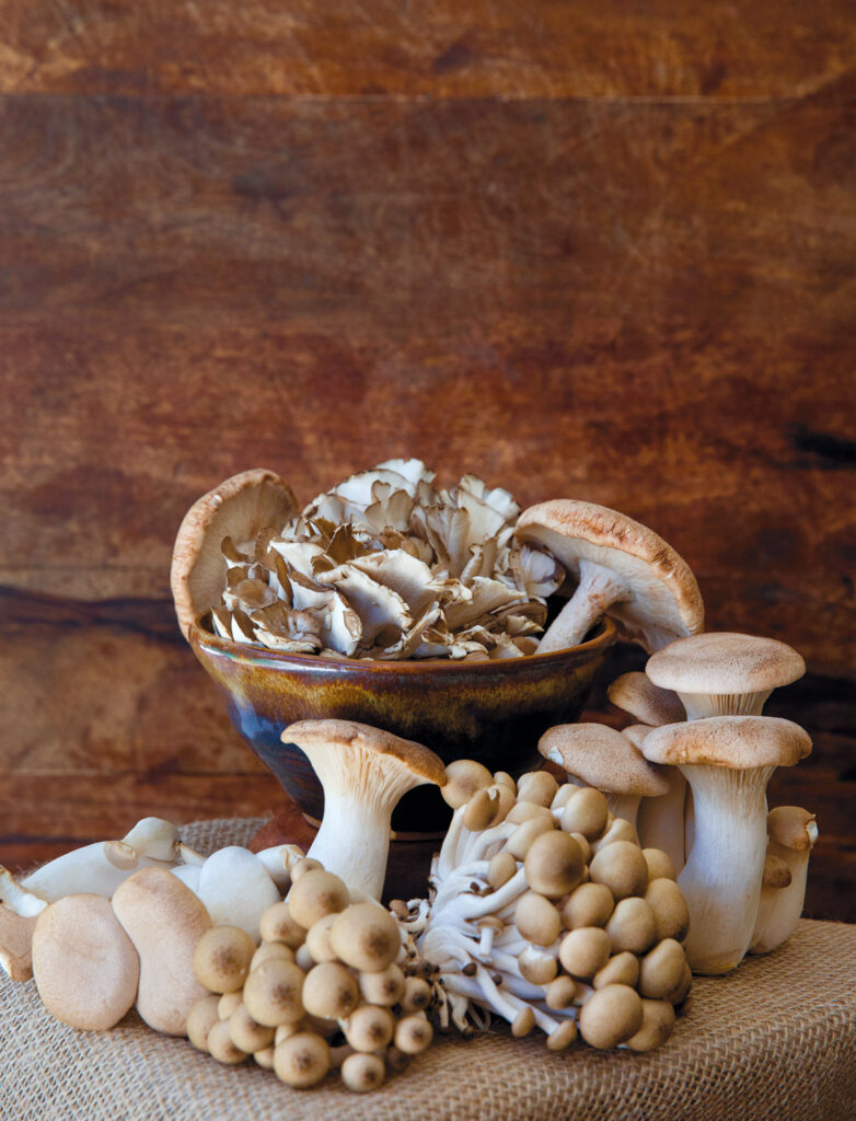 mushrooms-001.jpg