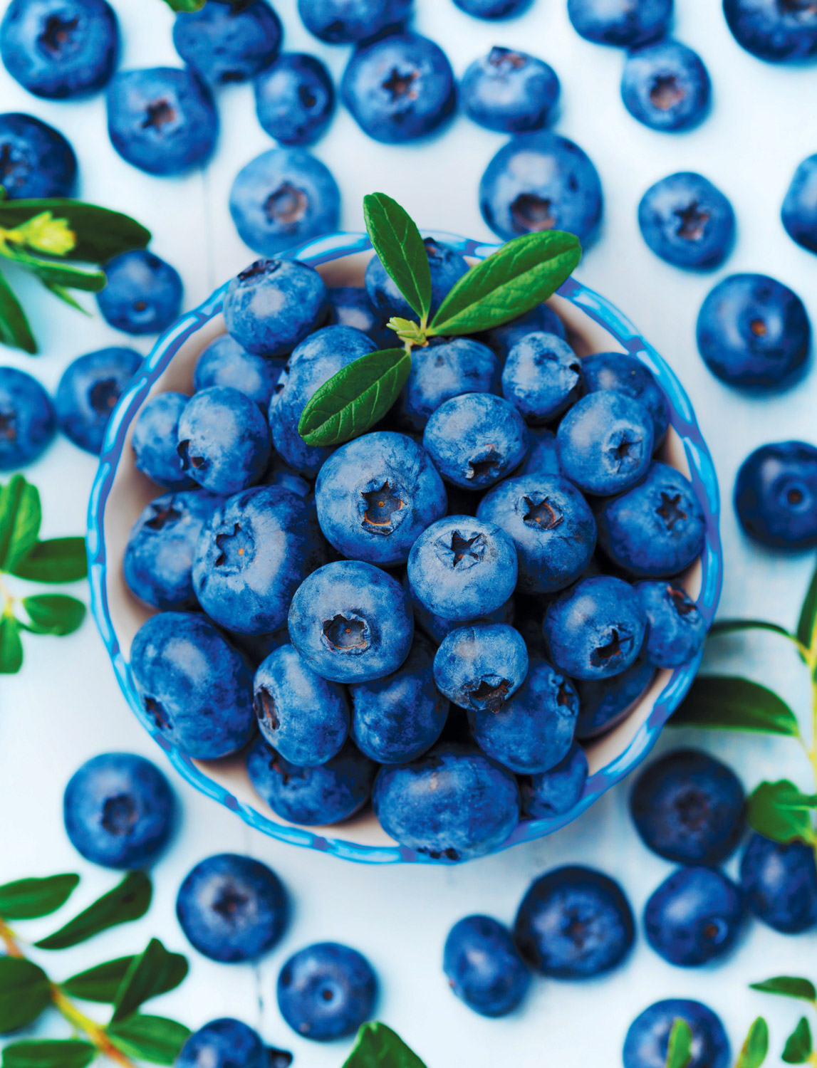 blueberries_001.jpg